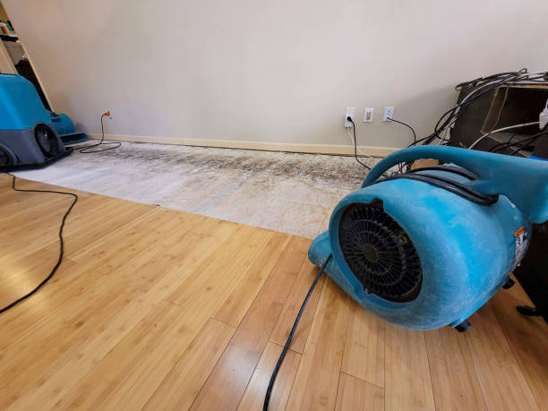 Professional Water Extraction technician working in Bountiful, UT